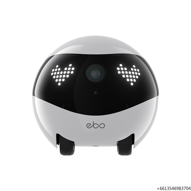 Enabot EBO Air2 2K 홈 보안 애완동물 카 - Home Security Robot 리뷰 및 가격