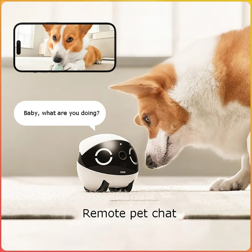 홈 시큐리티 애완동물 텀블러 디자인 실시간 제어 미니  - Home Security Robot 리뷰 및 가격
